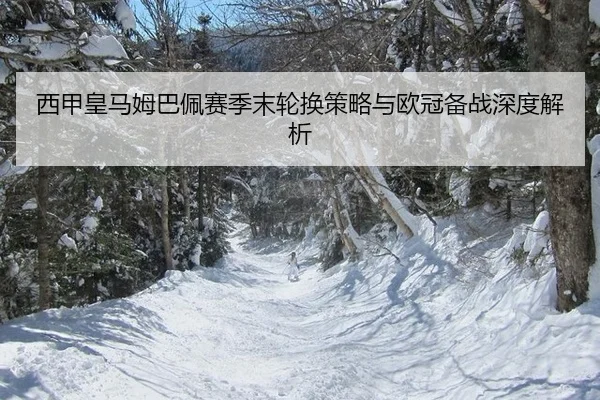 xi-jia-huang-ma-mu-ba-pei-sai-ji-mo-lun-huan-ce-lve-yu-ou-guan-bei-zhan-shen-du-jie-xi-3-926.jpg